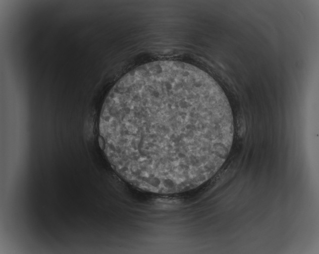 X0000100470515200807111043