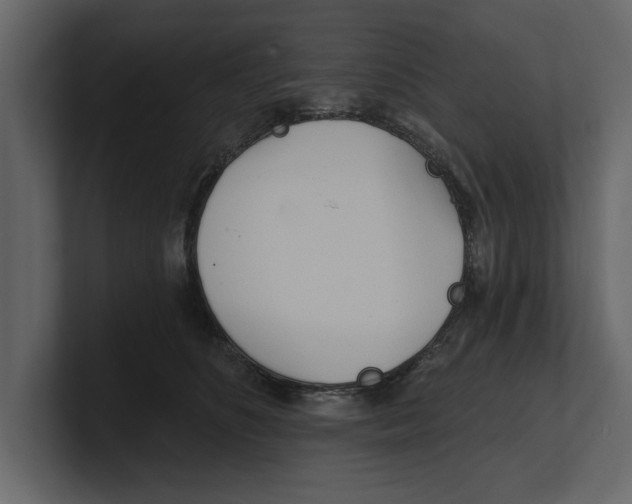 X0000100470516200807111043