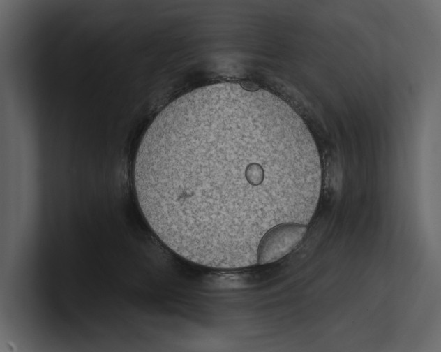 X0000100470518200807111043