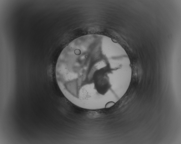 X0000100470519200807111043