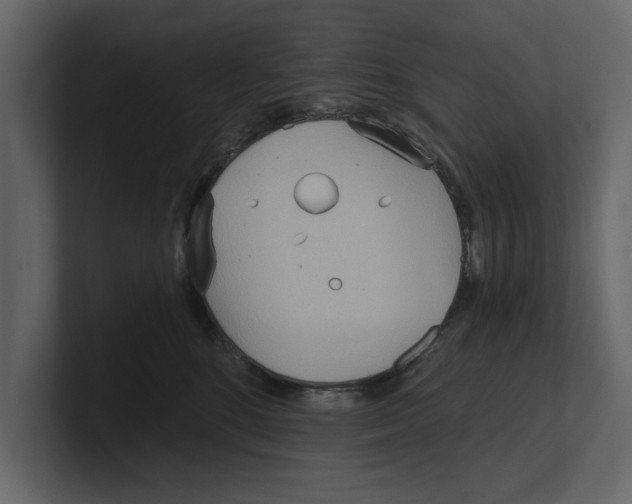 X0000100470520200807111043