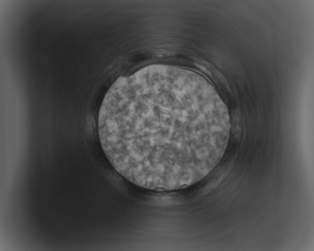 X0000100470523200807111043