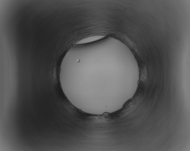 X0000100470524200807111043