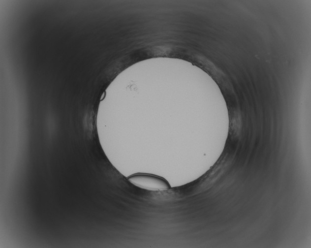 X0000100470525200807111043