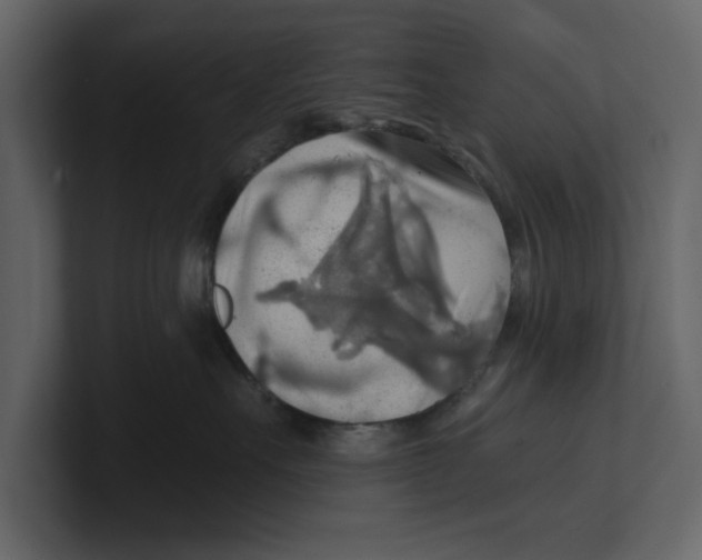 X0000100470527200807111043