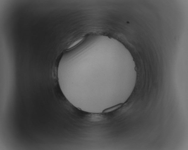 X0000100470528200807111043