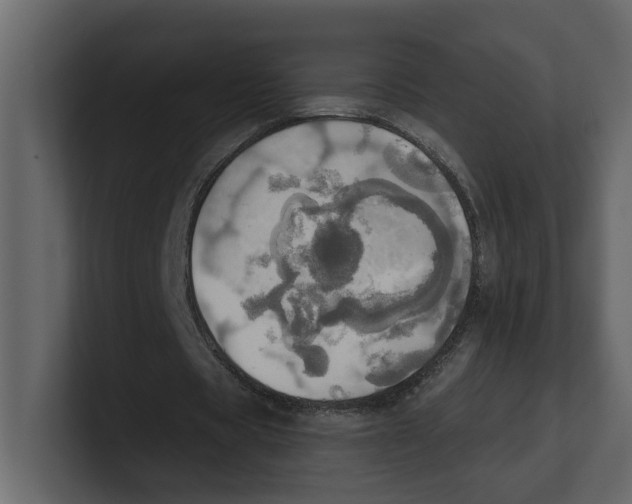 X0000100470529200807111043