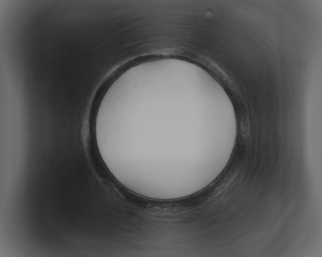 X0000100470532200807111043