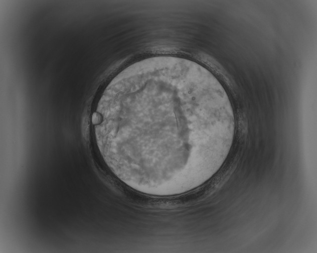 X0000100470533200807111043