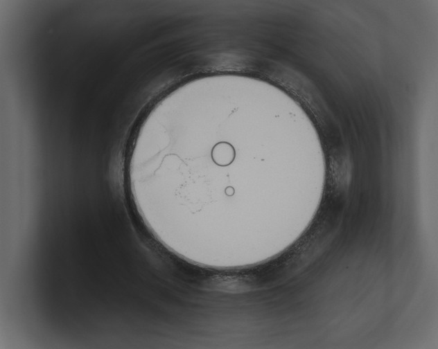 X0000100470534200807111043