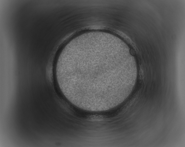 X0000100470535200807111043