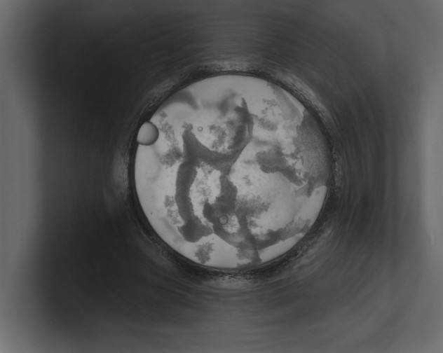 X0000100470537200807111043