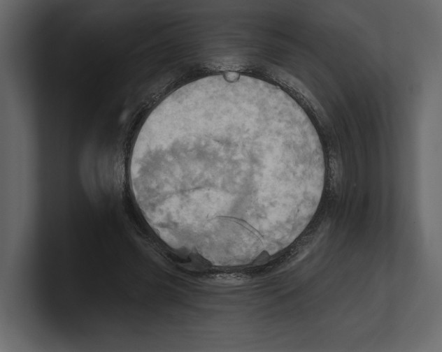 X0000100470541200807111043