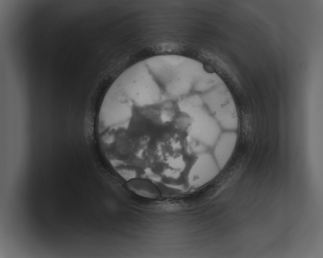 X0000100470545200807111043