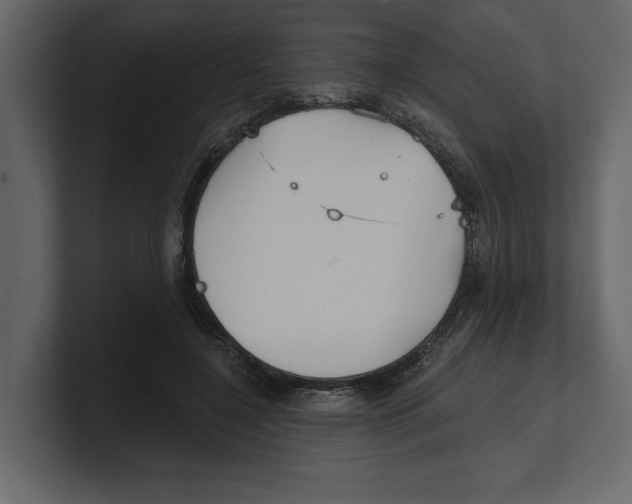 X0000100470548200807111043