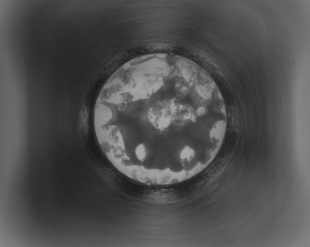 X0000100470550200807111043