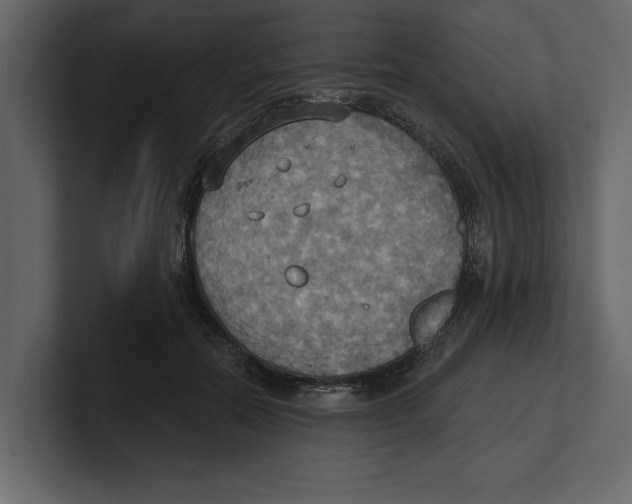 X0000100470554200807111043