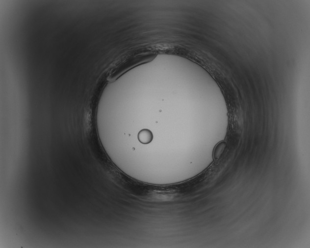 X0000100470556200807111043