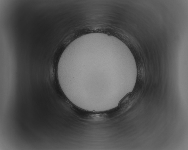 X0000100470558200807111043