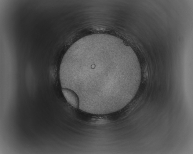 X0000100470559200807111043