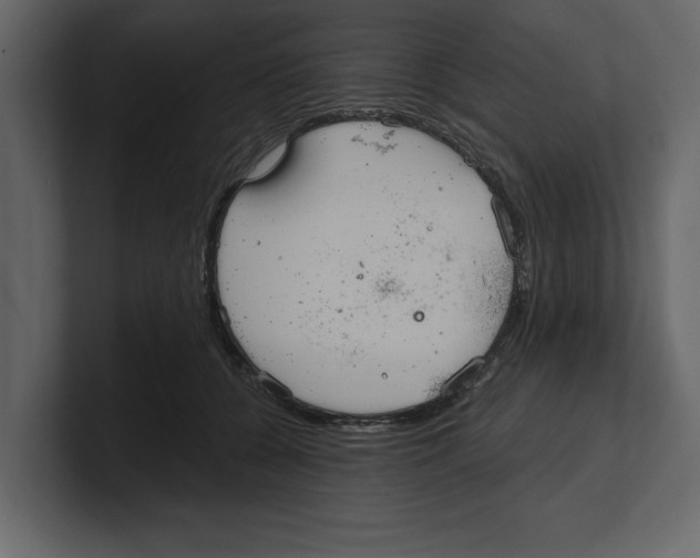 X0000100470560200807111043