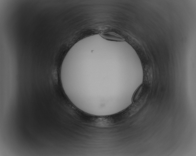 X0000100470562200807111043