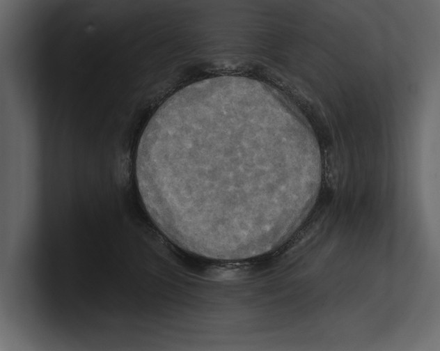 X0000100470563200807111043