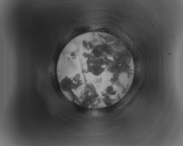 X0000100470565200807111043