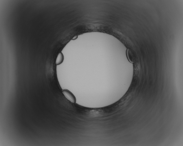 X0000100470566200807111043