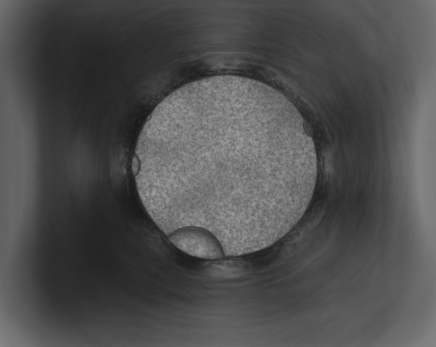 X0000100470567200807111043