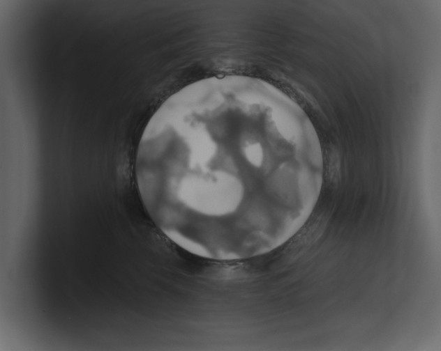 X0000100470569200807111043