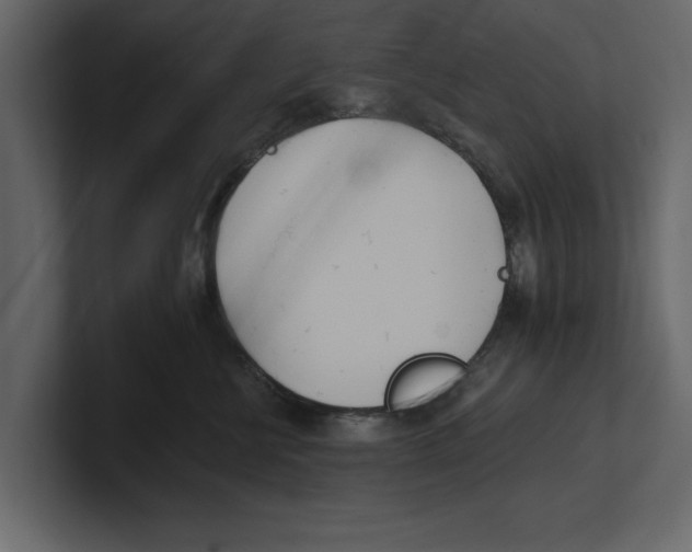 X0000100470570200807111043