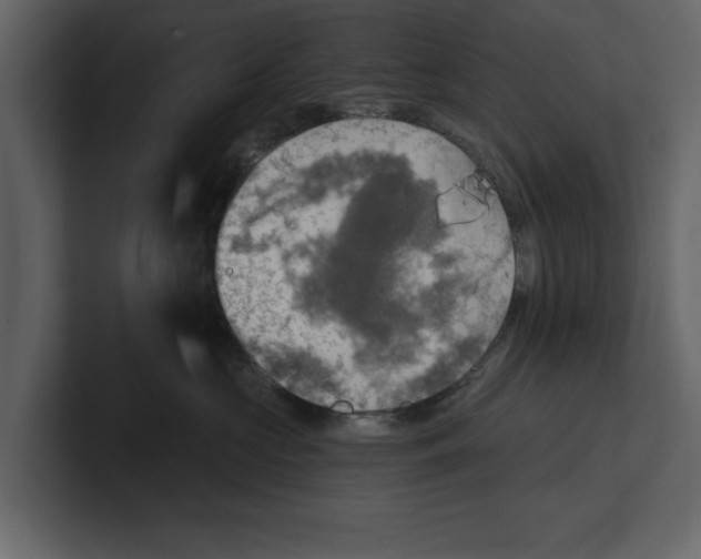 X0000100470573200807111043