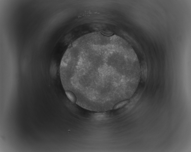 X0000100470574200807111043