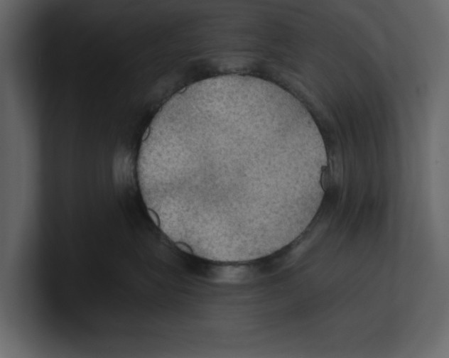 X0000100470575200807111043