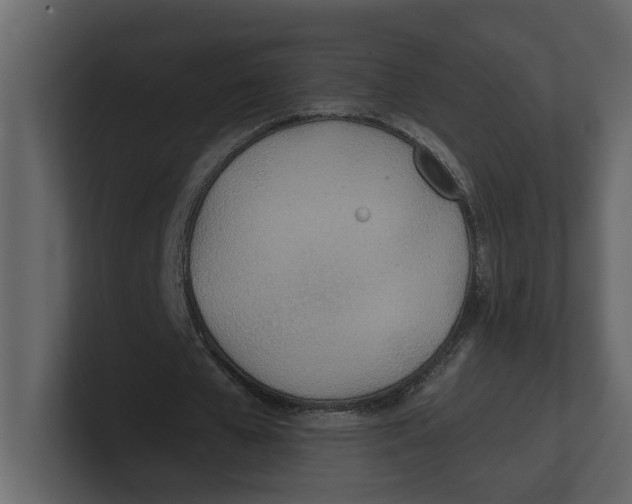 X0000100470577200807111043