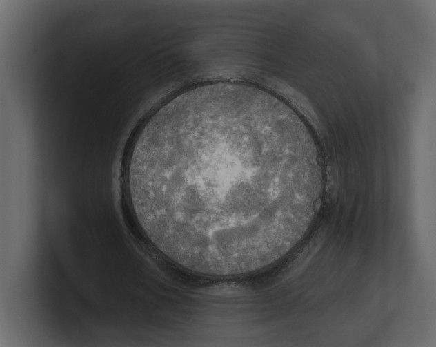 X0000100470578200807111043