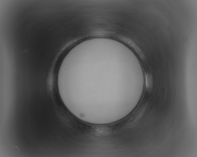 X0000100470579200807111043