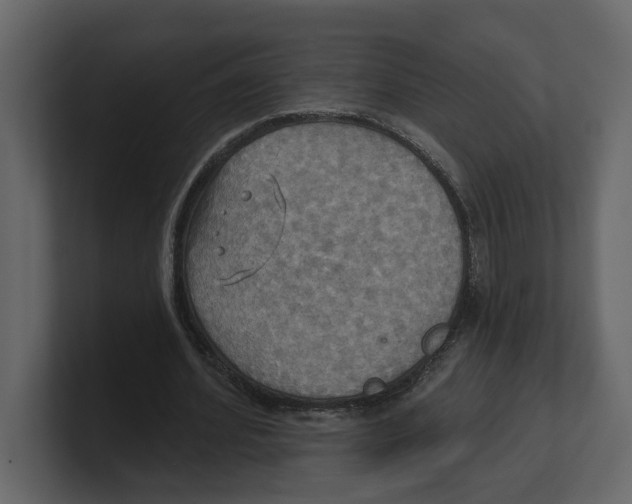 X0000100470580200807111043