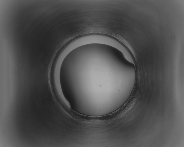 X0000100470581200807111043