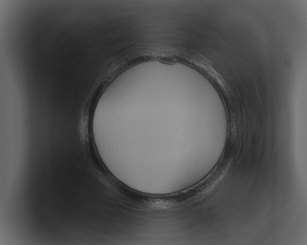 X0000100470585200807111043