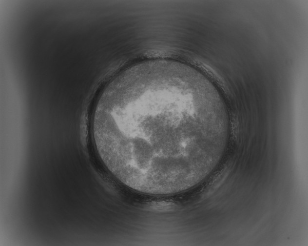 X0000100470586200807111043