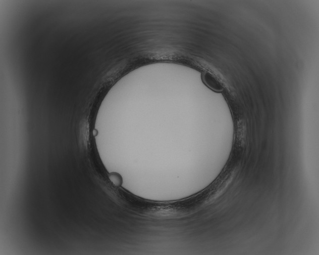 X0000100470589200807111043