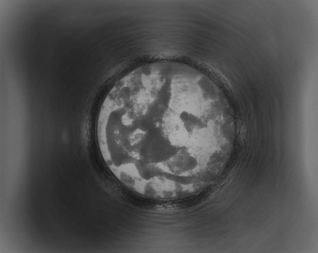 X0000100470591200807111042