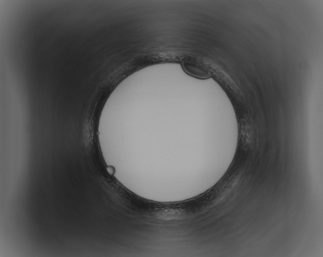 X0000100470593200807111042