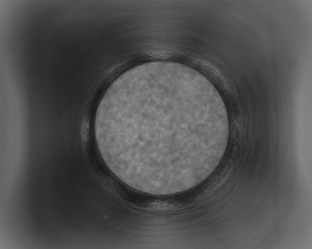 X0000100470596200807111042