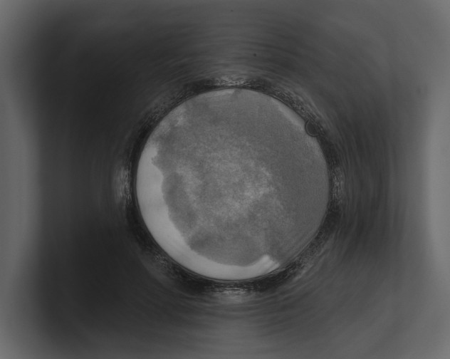 X0000100470598200807111042