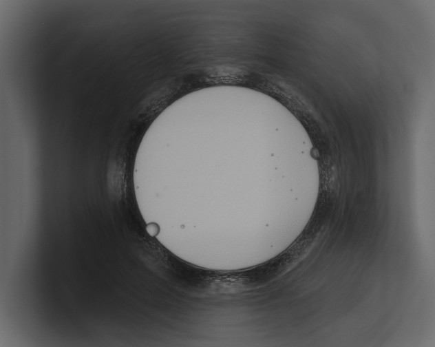 X0000100470599200807111042