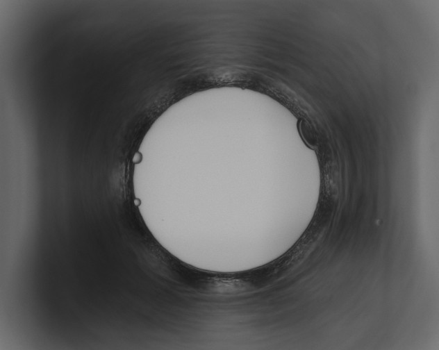 X0000100470605200807111042