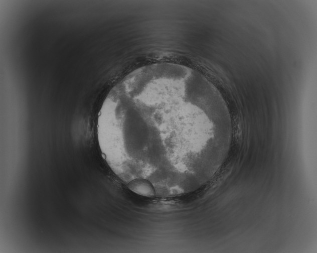 X0000100470607200807111042